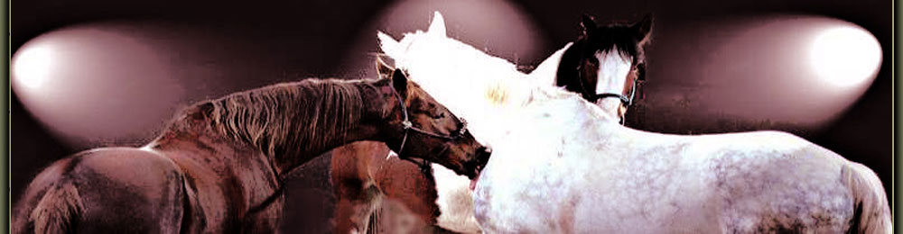 beeld-werk evenbeeld